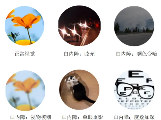 图片 2.png