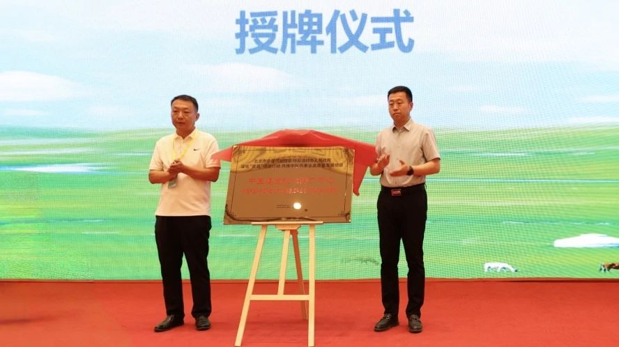 图片 10.png