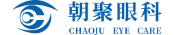 朝聚集团LOGO